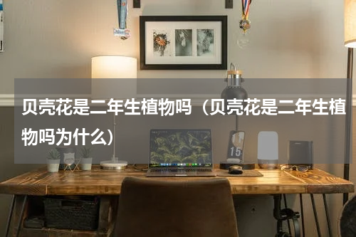 贝壳花是二年生植物吗（贝壳花是二年生植物吗为什么）