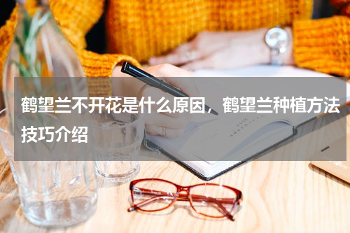 鹤望兰不开花是什么原因，鹤望兰种植方法技巧介绍