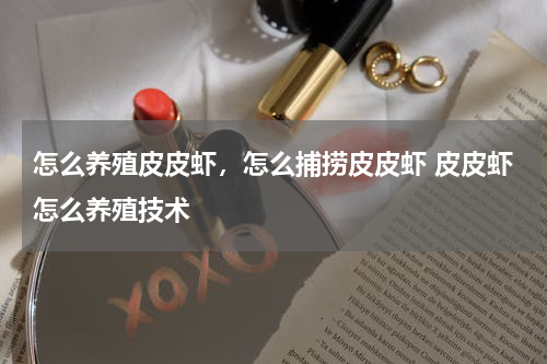 怎么养殖皮皮虾，怎么捕捞皮皮虾 皮皮虾怎么养殖技术