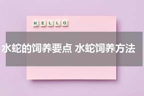水蛇的饲养要点 水蛇饲养方法