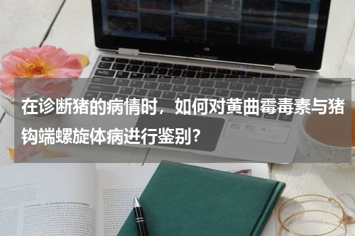 在诊断猪的病情时，如何对黄曲霉毒素与猪钩端螺旋体病进行鉴别？