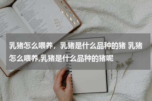 乳猪怎么喂养，乳猪是什么品种的猪 乳猪怎么喂养,乳猪是什么品种的猪呢