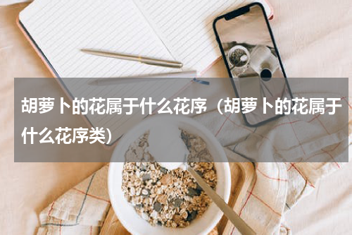 胡萝卜的花属于什么花序（胡萝卜的花属于什么花序类）