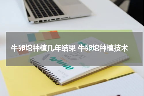 牛卵坨种植几年结果 牛卵坨种植技术