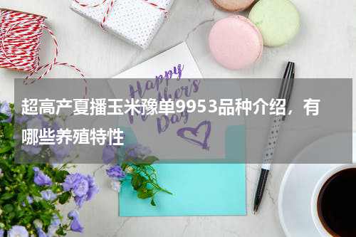 超高产夏播玉米豫单9953品种介绍，有哪些养殖特性