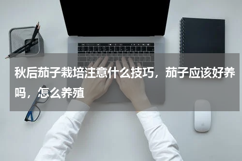秋后茄子栽培注意什么技巧，茄子应该好养吗，怎么养殖