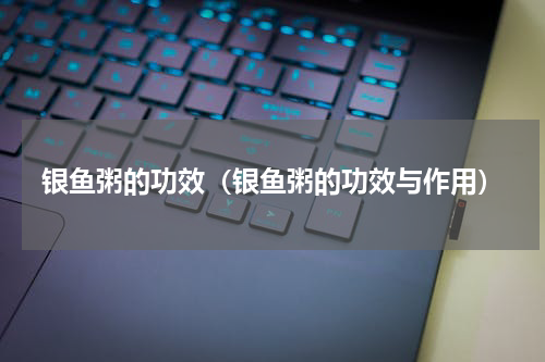 银鱼粥的功效（银鱼粥的功效与作用）
