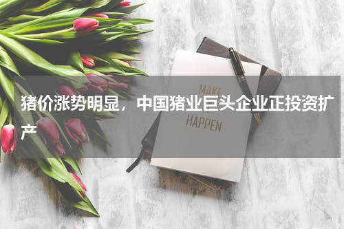猪价涨势明显，中国猪业巨头企业正投资扩产