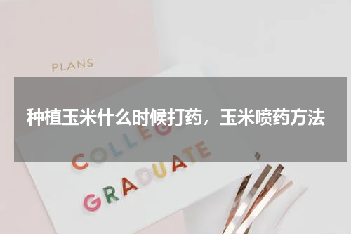 种植玉米什么时候打药，玉米喷药方法