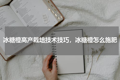 冰糖橙高产栽培技术技巧，冰糖橙怎么施肥