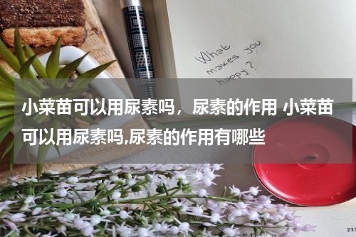 小菜苗可以用尿素吗，尿素的作用 小菜苗可以用尿素吗,尿素的作用有哪些