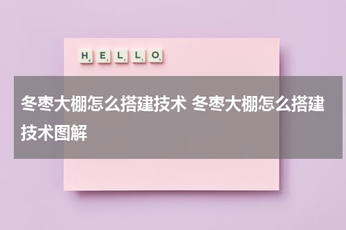 冬枣大棚怎么搭建技术 冬枣大棚怎么搭建技术图解