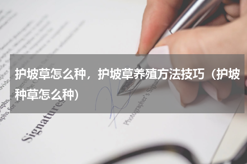 护坡草怎么种，护坡草养殖方法技巧（护坡种草怎么种）