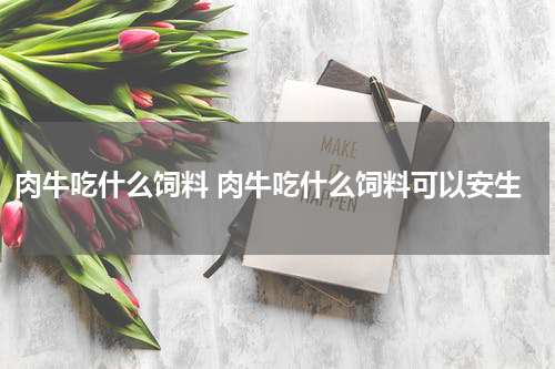 肉牛吃什么饲料 肉牛吃什么饲料可以安生