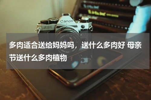 多肉适合送给妈妈吗，送什么多肉好 母亲节送什么多肉植物
