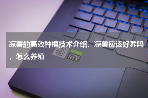 凉薯的高效种植技术介绍，凉薯应该好养吗，怎么养殖