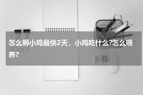 怎么孵小鸡最快2天，小鸡吃什么?怎么喂养?