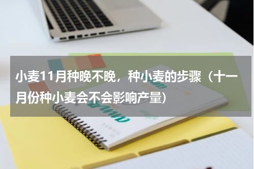 小麦11月种晚不晚，种小麦的步骤（十一月份种小麦会不会影响产量）