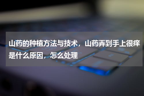 山药的种植方法与技术，山药弄到手上很痒是什么原因，怎么处理