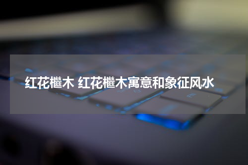 红花檵木 红花檵木寓意和象征风水