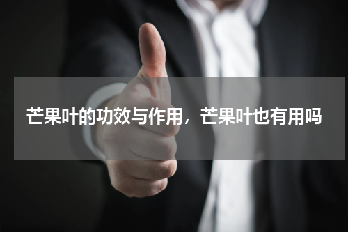 芒果叶的功效与作用，芒果叶也有用吗