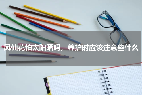 凤仙花怕太阳晒吗，养护时应该注意些什么