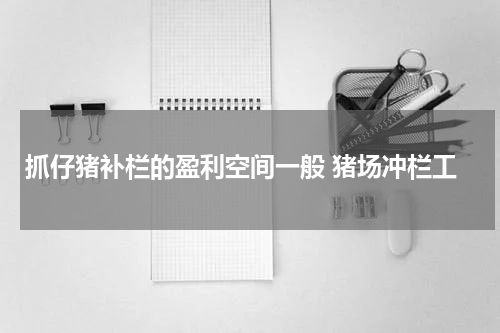 抓仔猪补栏的盈利空间一般 猪场冲栏工