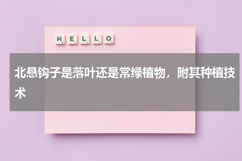 北悬钩子是落叶还是常绿植物，附其种植技术