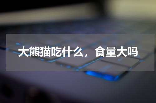 大熊猫吃什么，食量大吗
