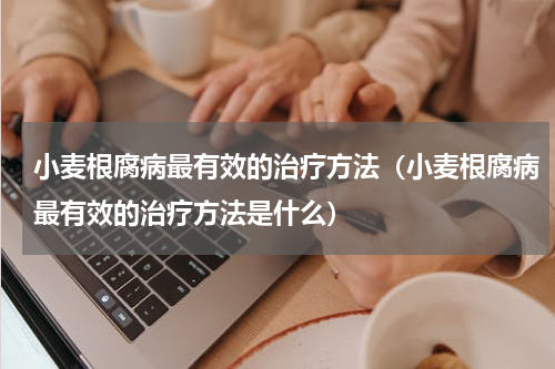小麦根腐病最有效的治疗方法（小麦根腐病最有效的治疗方法是什么）