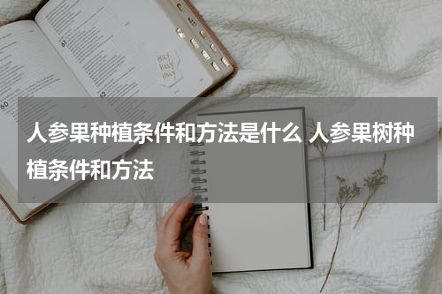 人参果种植条件和方法是什么 人参果树种植条件和方法