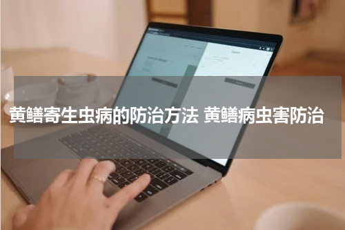 黄鳝寄生虫病的防治方法 黄鳝病虫害防治