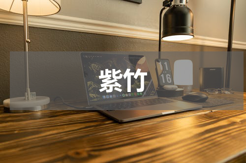 紫竹
