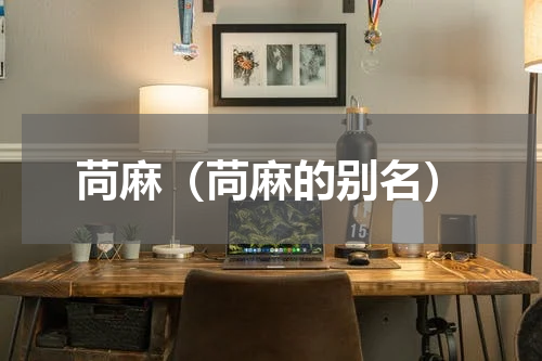 苘麻（苘麻的别名）
