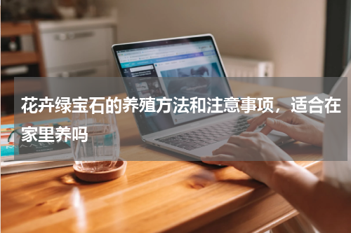 花卉绿宝石的养殖方法和注意事项，适合在家里养吗
