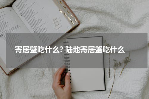 寄居蟹吃什么? 陆地寄居蟹吃什么