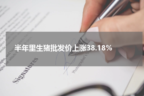 半年里生猪批发价上涨38.18%
