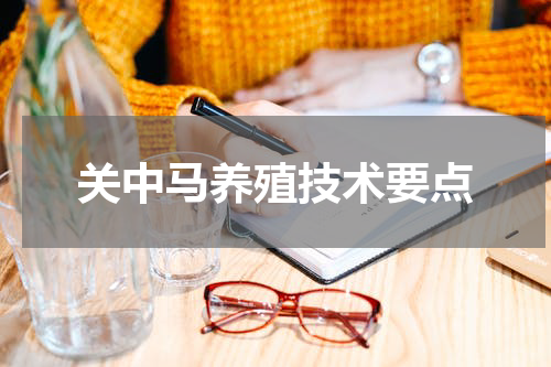 关中马养殖技术要点