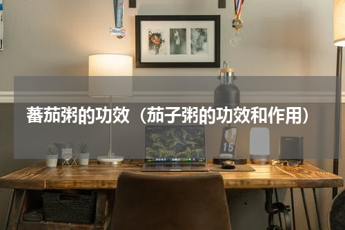 蕃茄粥的功效（茄子粥的功效和作用）