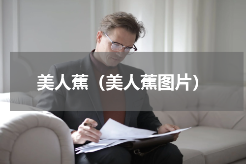 美人蕉（美人蕉图片）