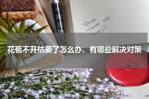花苞不开枯萎了怎么办，有哪些解决对策
