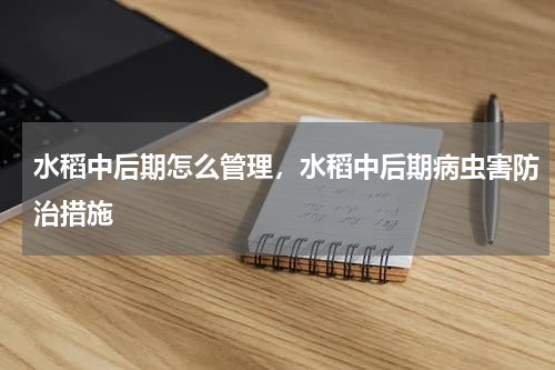 水稻中后期怎么管理，水稻中后期病虫害防治措施