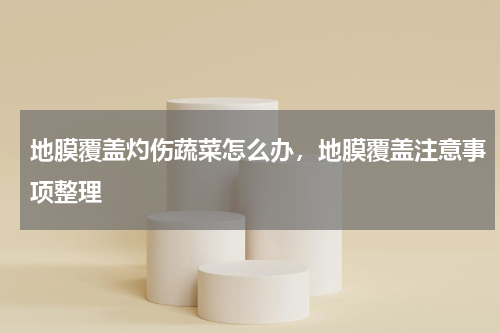 地膜覆盖灼伤蔬菜怎么办，地膜覆盖注意事项整理