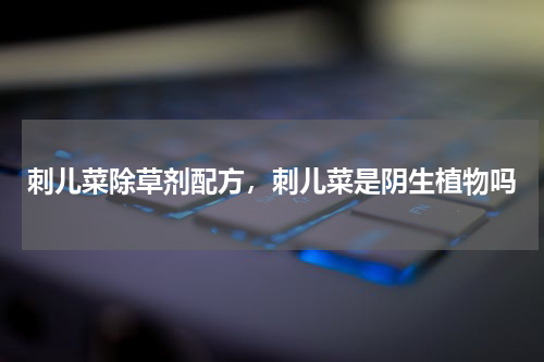 刺儿菜除草剂配方，刺儿菜是阴生植物吗