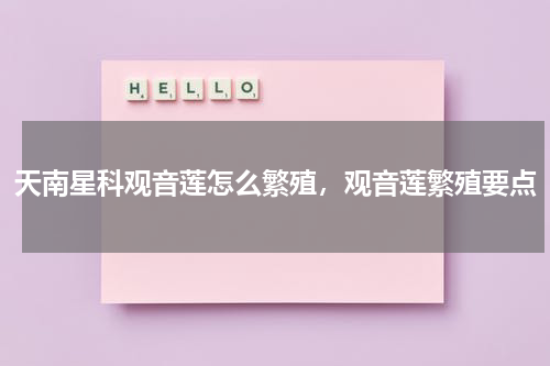 天南星科观音莲怎么繁殖，观音莲繁殖要点