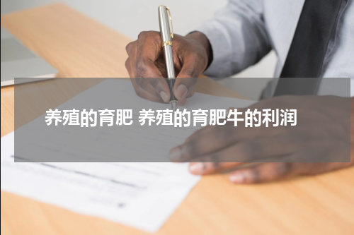 养殖的育肥 养殖的育肥牛的利润