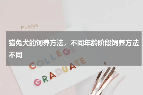 猎兔犬的饲养方法，不同年龄阶段饲养方法不同