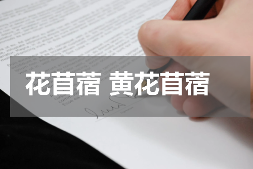 花苜蓿 黄花苜蓿
