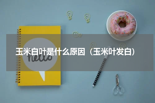 玉米白叶是什么原因（玉米叶发白）