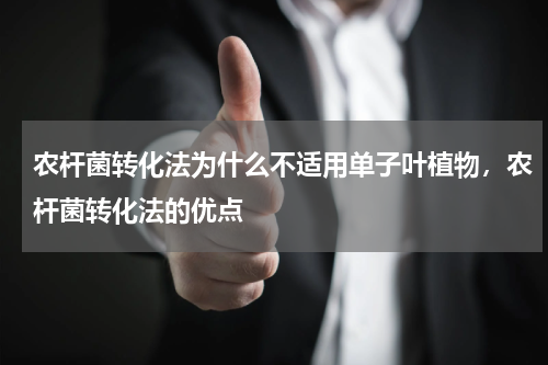 农杆菌转化法为什么不适用单子叶植物，农杆菌转化法的优点